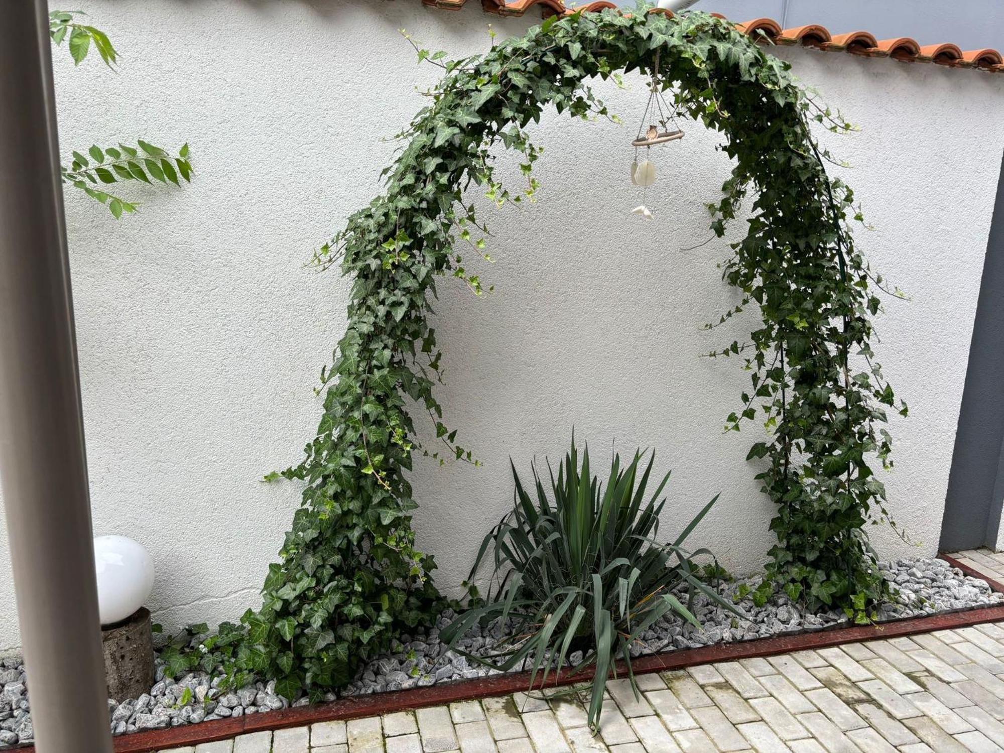 Willa Hugo'S House Costinesti Zewnętrze zdjęcie